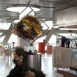 深圳探店｜纸艺+咖啡🌻沉浸式艺术氛围空间