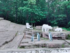 -哈尔滨北方森林动物园