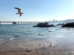 -星海广场