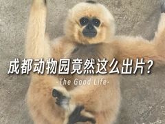 -成都动物园
