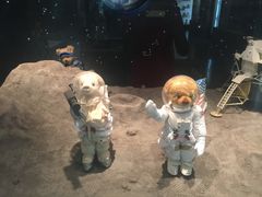 -济州岛泰迪熊博物馆