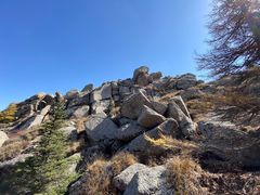 -芦芽山旅游度假区