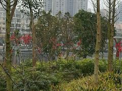 -眉山湿地公园(东坡区)