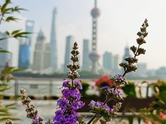 -北外滩滨江绿地