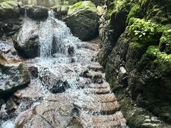 -牛背梁国家森林公园