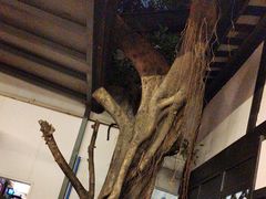 -鸡毛店·川菜(李家沱店)