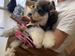 -宠福鑫康馨动物医院·骨科·眼科