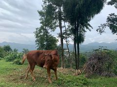 -寻龙山风景旅游区