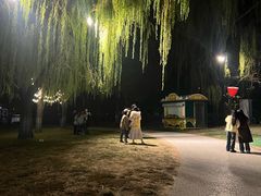 -朝阳公园游乐园