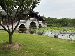 -上海海湾国家森林公园