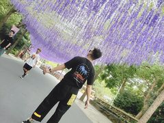 景点-上海欢乐谷