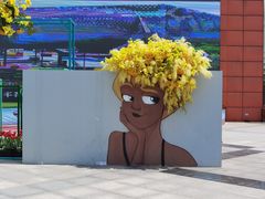 -荷兰花海