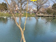 -玄武湖景区-情侣园游乐场