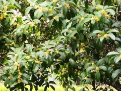 -白塘生态植物园