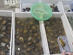 -华声天桥民俗文化园