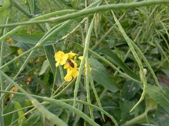 -驿舍·民國老营房院子私房菜(科学会堂店)