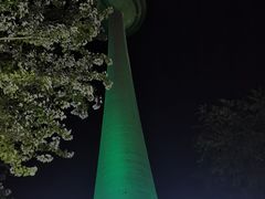 -辽宁电视塔