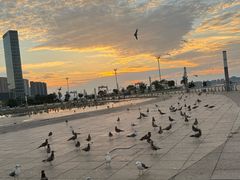 -东港音乐喷泉广场