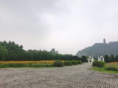 -南沙蒲洲花园