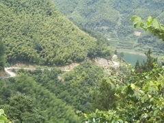 -四明山国家森林公园