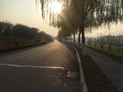 -洨河生态公园