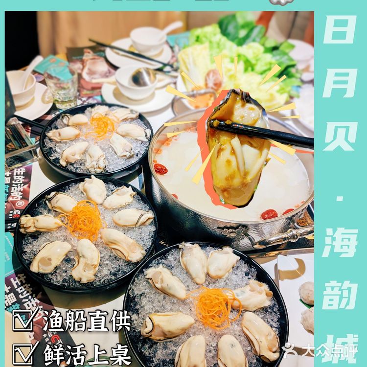 日月贝美食|蚝大仙海鲜火锅🦐市区首店来啦！