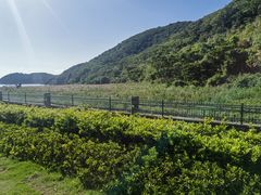 -东海半边山旅游度假区