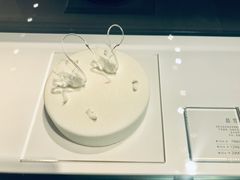 -BLACKSWAN黑天鹅(环球店)