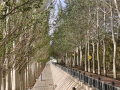 -党河风情线国家水利风景区