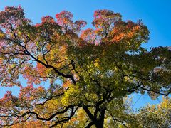 -上海市嘉定区中医医院