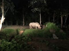 -清迈夜间动物园