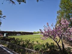 -兰陵国家农业公园