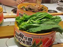 -龍歌自助小火锅(崂山丽达店)