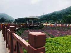 -广州市石门国家森林公园
