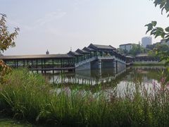 -西海子公园