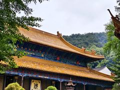 -普陀山风景名胜区-法雨禅寺