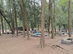 -南宁良凤江国家森林公园