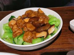 香菇面筋菜心-金枝玉叶上海人家食府(三里河店)