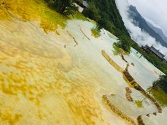 -黄龙山原始森林景区