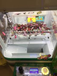 -莫莉幻想儿童乐园(武汉金银潭永旺店)