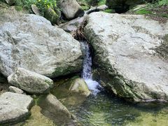 -王顺山国家森林公园