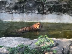 -广州动物园