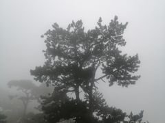 -妙峰山风景名胜区