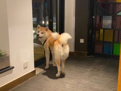 -BOCATA 西班牙餐厅(三里屯店)