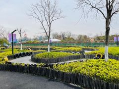-季高兔窝窝亲子园(上海薰衣草公园店)