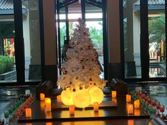 -海南清水湾莱佛士酒店