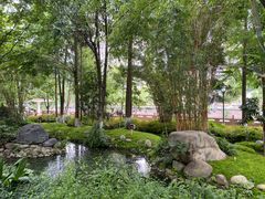 -成都市活水公园