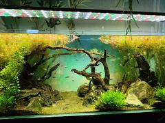 -沈阳海洋探索中心