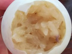 -琼海·狮椰美食楼