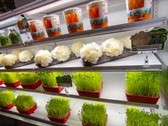 -番食园鲜食火锅(高新店)